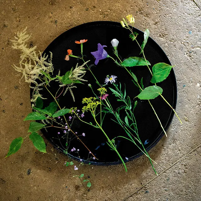 季節のさまざまな切り花をセットにして届ける定期便「季節のおまかせ便」