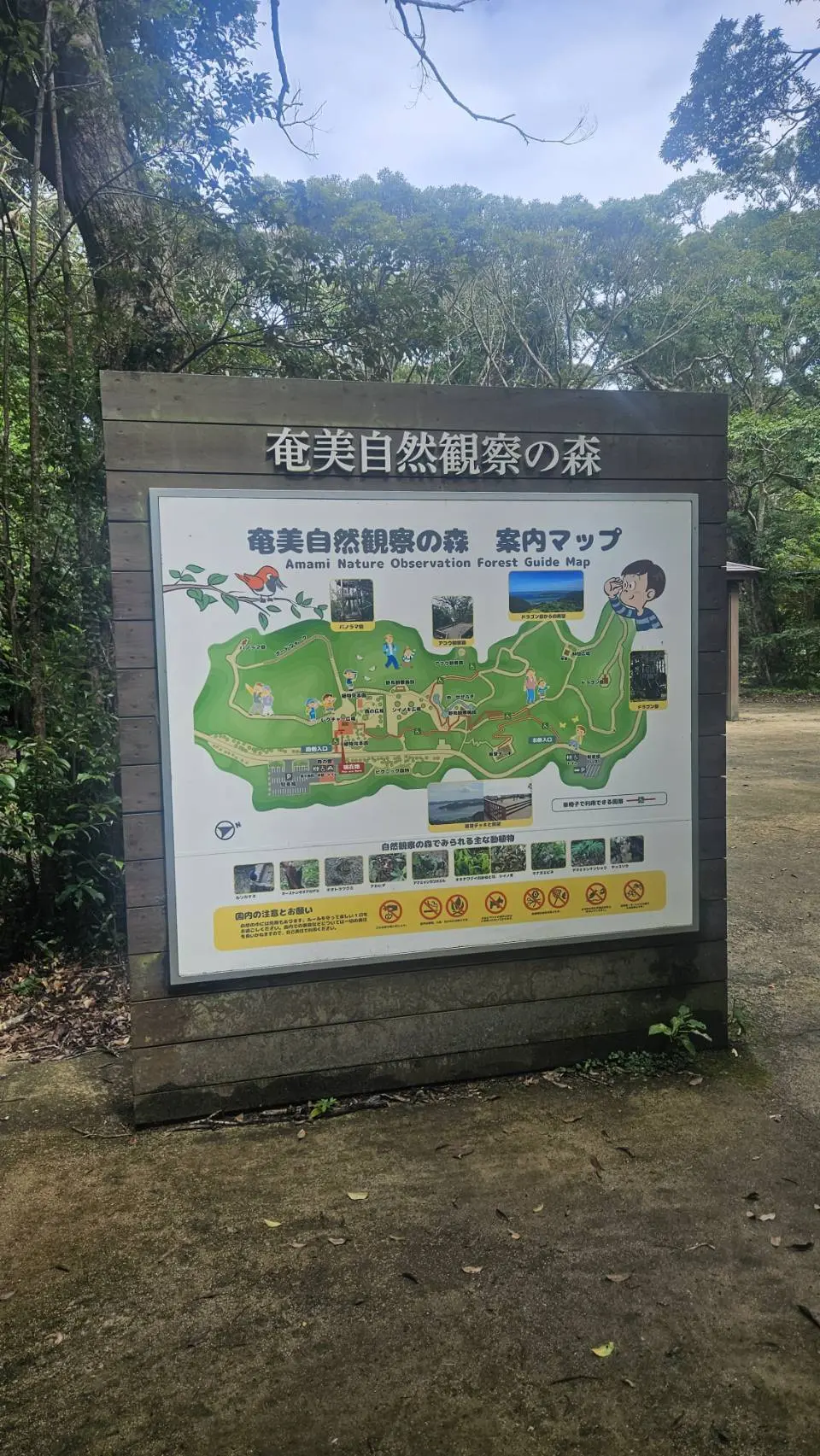 奄美自然観察の森