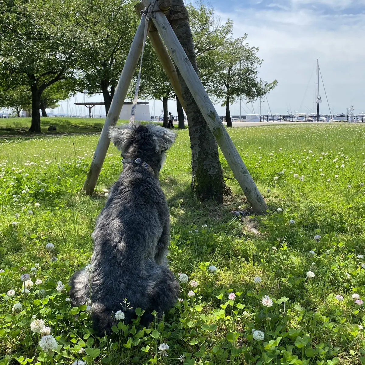 初めての海の味の画像_2
