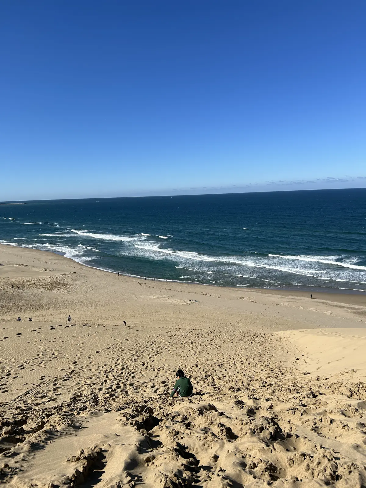 秋の遠足 -11月の鳥取でリフレッシュの画像_5