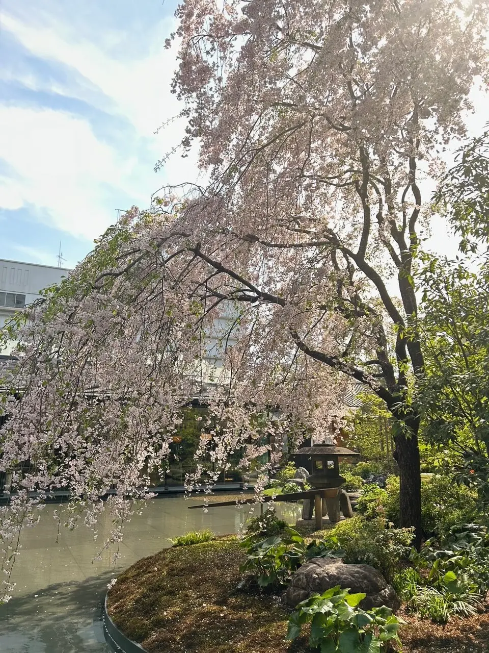 HOTEL THE MITSUI KYOTO のお庭