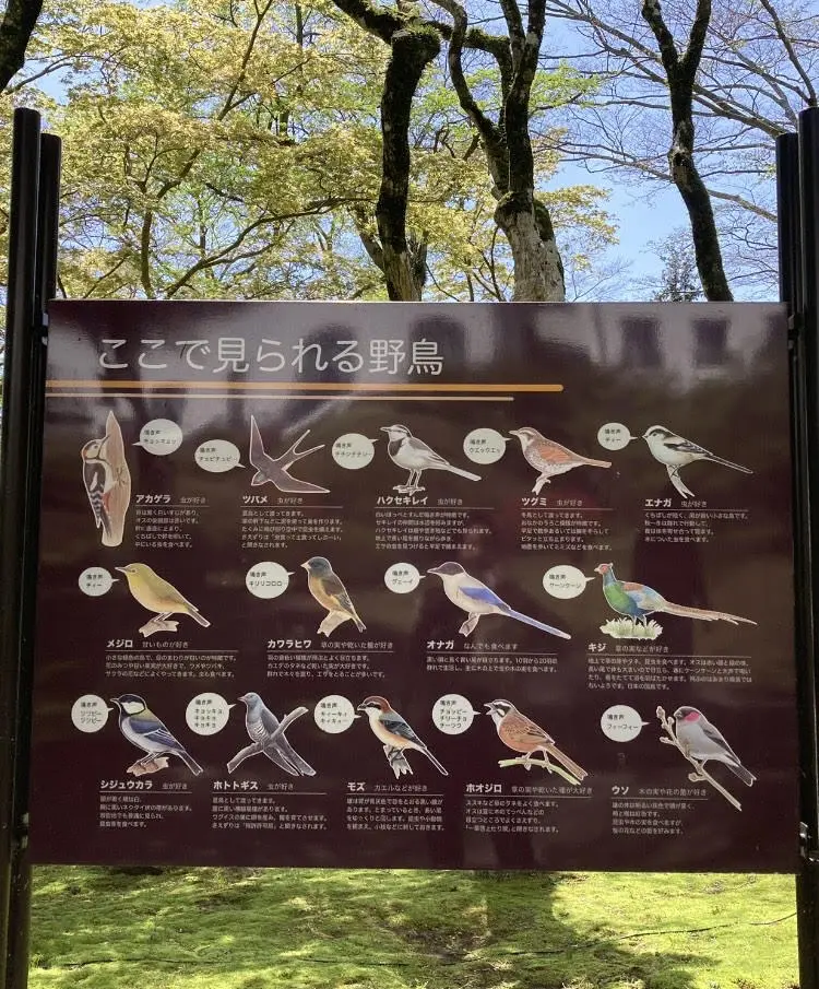 箱根・山のホテルつつじの庭園への画像_4