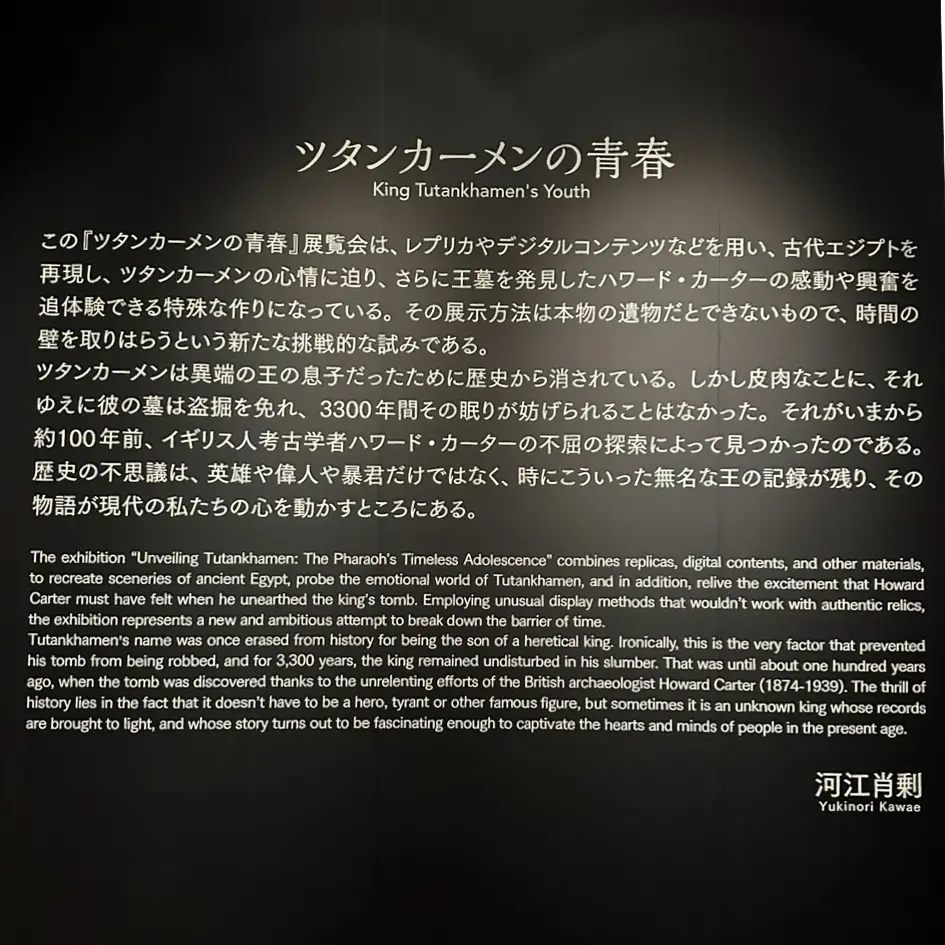 ザラコーデ　ZARAコーデ　着映えワンピース 