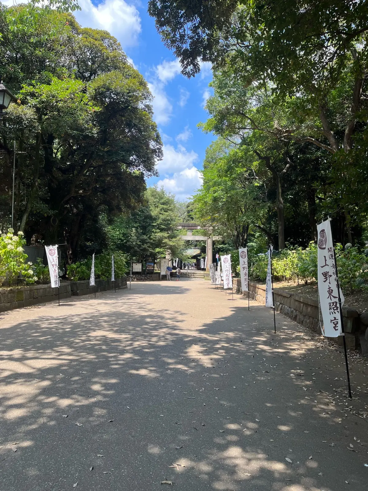 【神活】効果絶大！上野でたった30分しかの画像_1