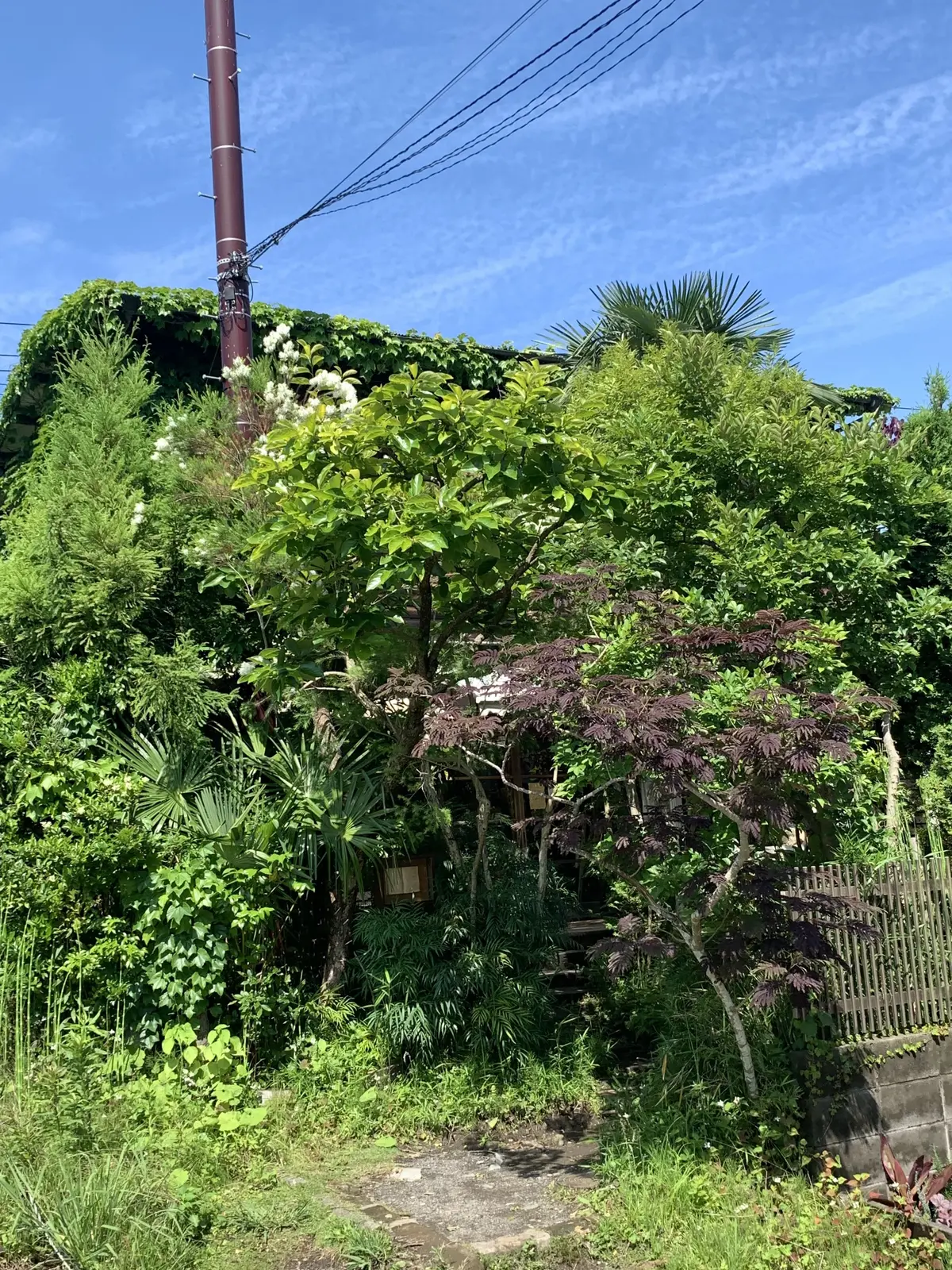 ミンカ　鎌倉　古民家カフェ