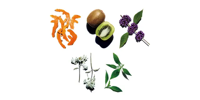 肌の可能性を高める 選びぬかれた21種の植物