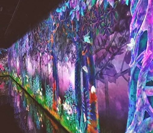 第二弾　チームラボ  無料イベントおすすの画像_5