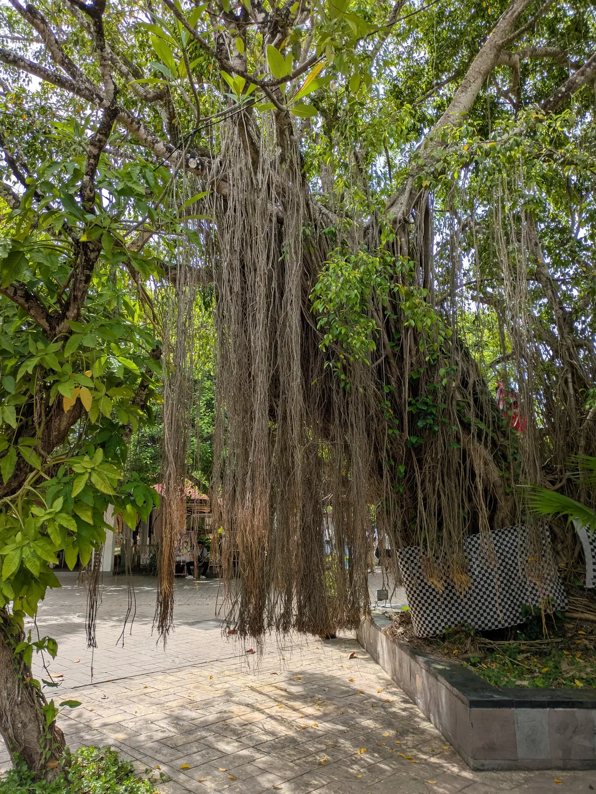 【2026年冬旅】年越しは夫婦で初めてのの画像_1