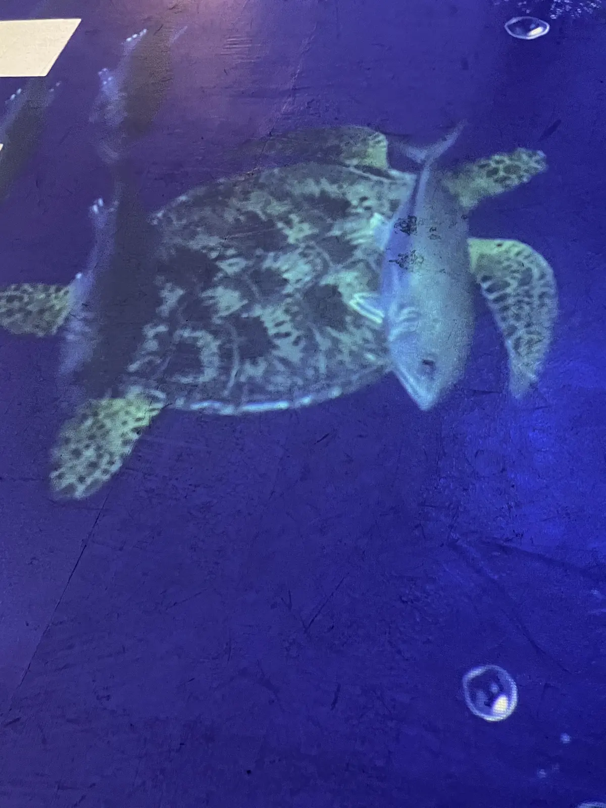 Jマダム同期と表参道ヒルズで初対面♪の画像_15