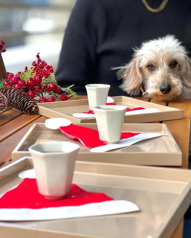 クリスマスのテーブル　テーブルコーデ　アウトドアテラス　クリスマスインテリア