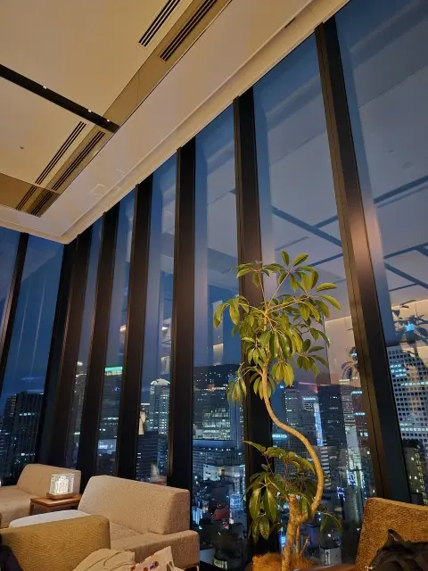 今回の万博旅はカンデオホテル大阪ザ・タワの画像_6