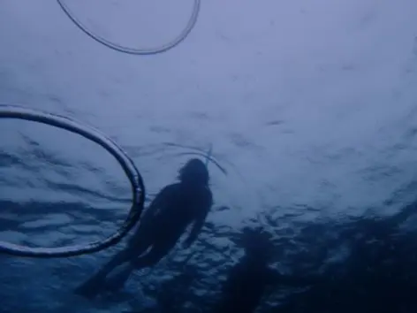 青の洞窟　シュノーケリングの画像_1