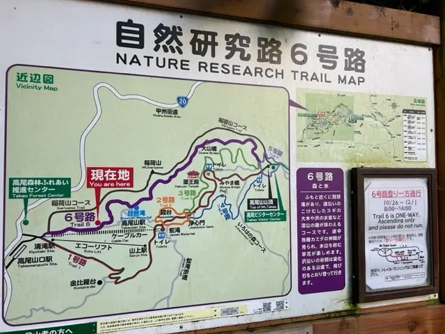 世界一の登山者数を誇る「高尾山」登山☆の画像_1