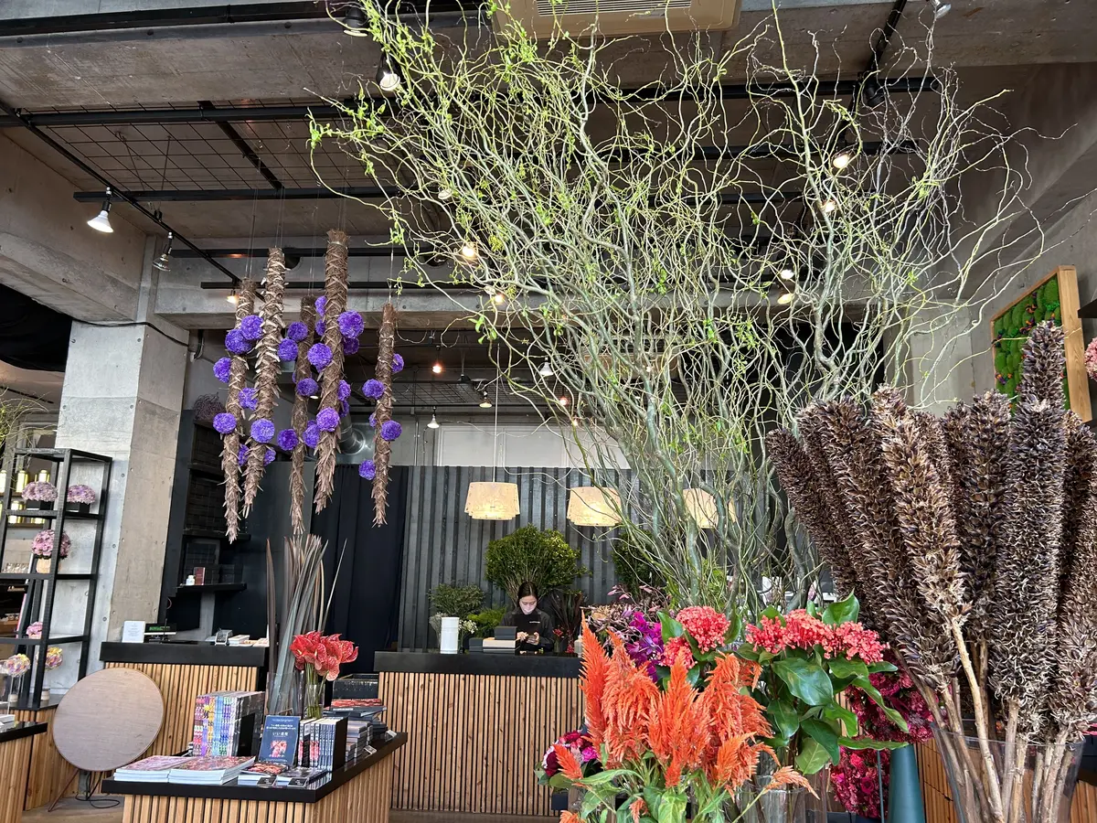 秋を感じるランチ♪ 表参道　NICOLAの画像_1