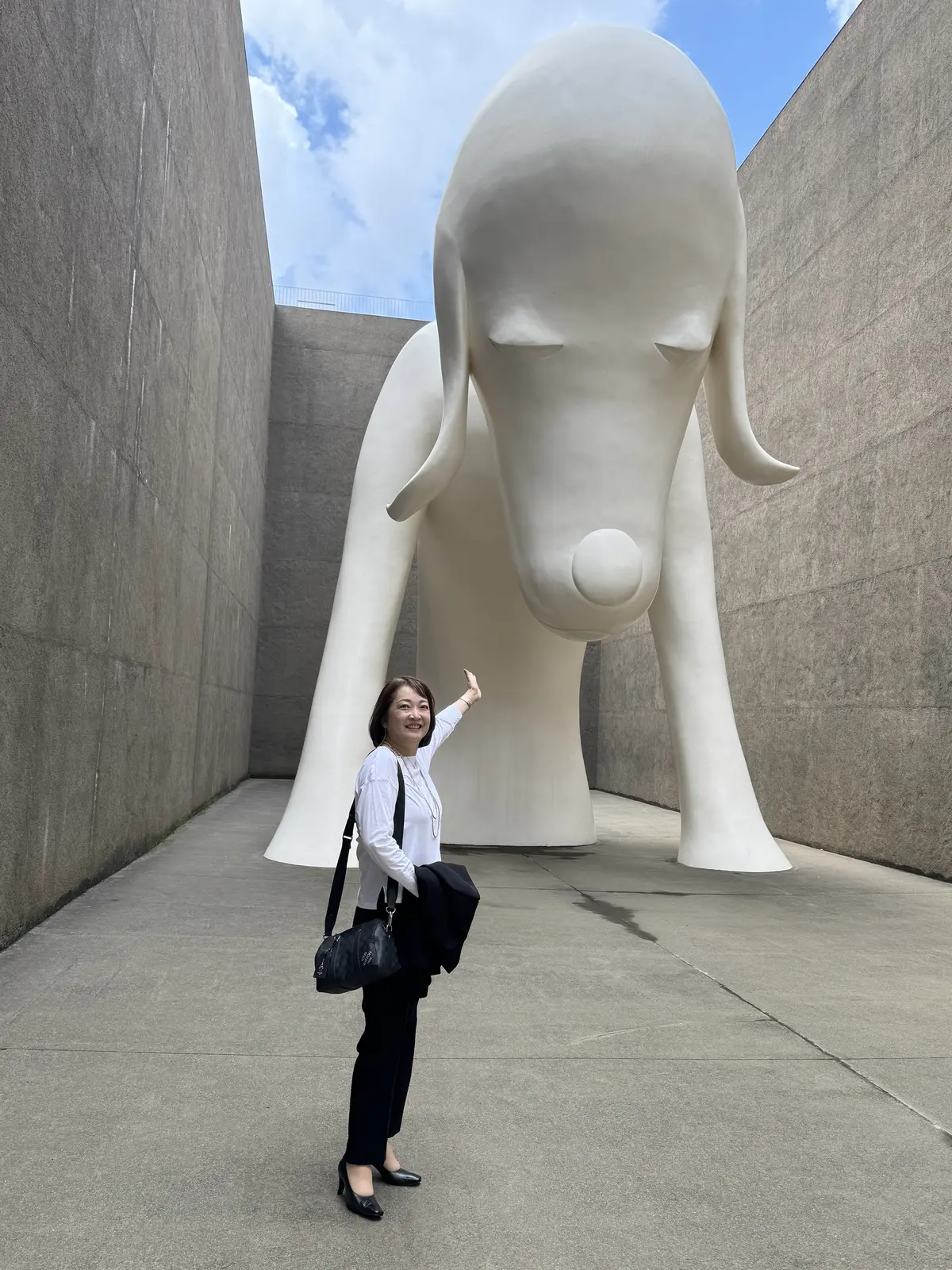 あおもり犬　青森県立美術館　梅澤千佳子