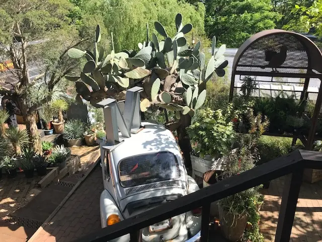 ☆まるで〜おとぎの国のよう☆「SOLSOの画像_1