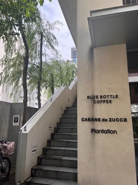 表参道この時期にぴったりな朝活カフェの画像_1