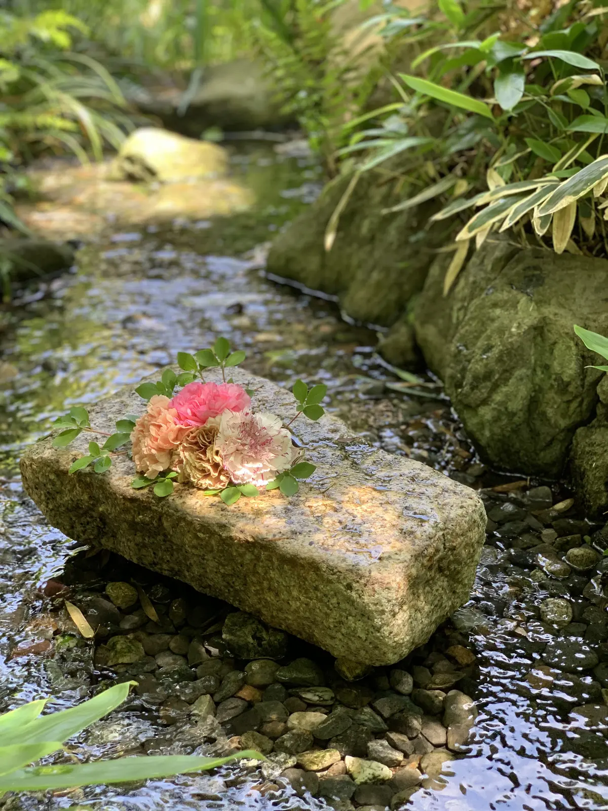 一条恵観山荘（いちじょうえかんさんそう）鎌倉あじさい