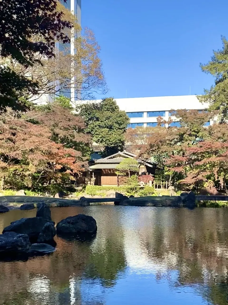靖国神社 神池庭園