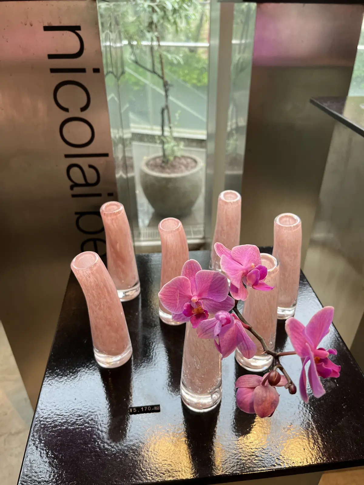 せっかくのお出かけも、雨でプチプラブラッの画像_7