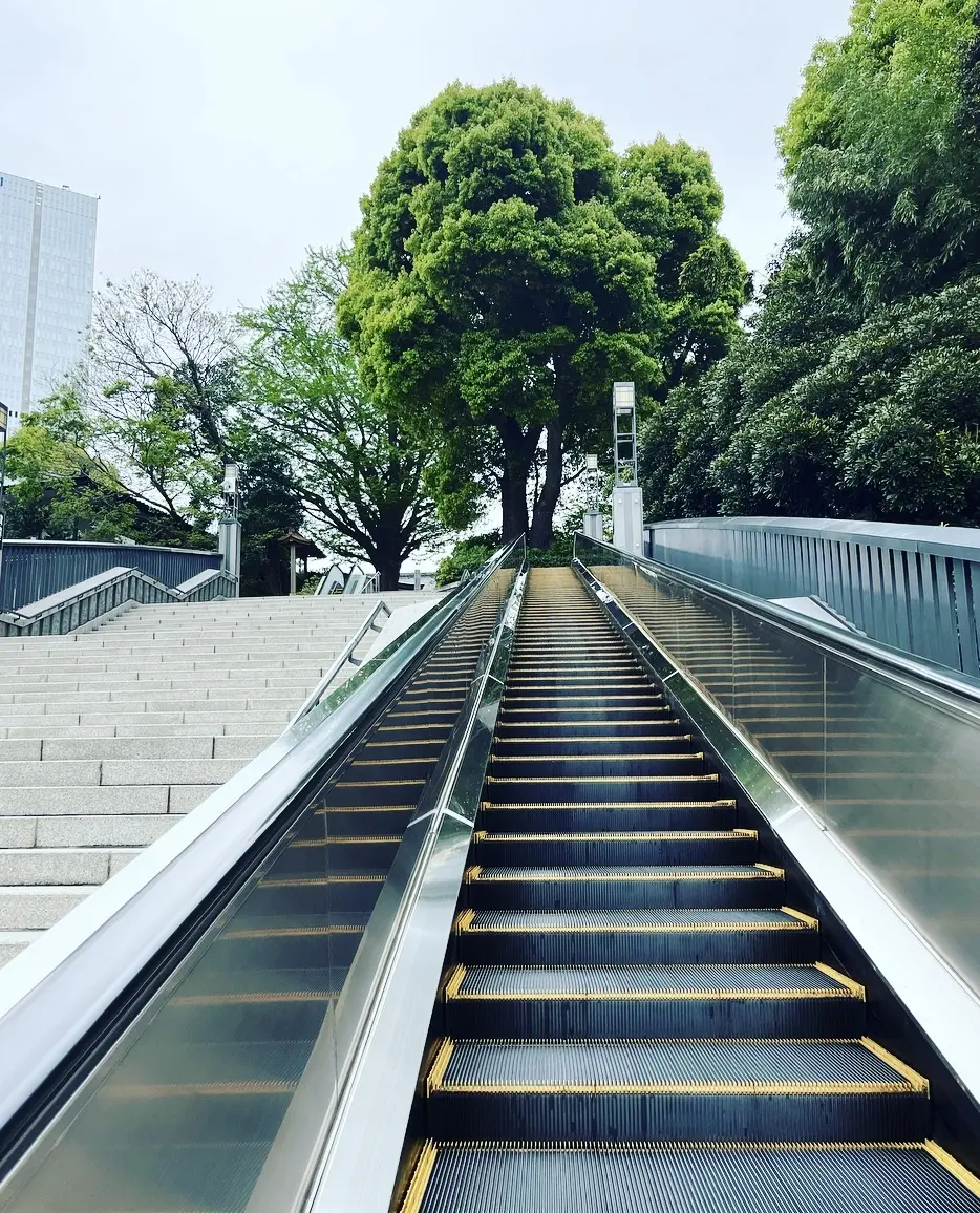 神社・だし巻き・あんみつの和巡りの画像_1