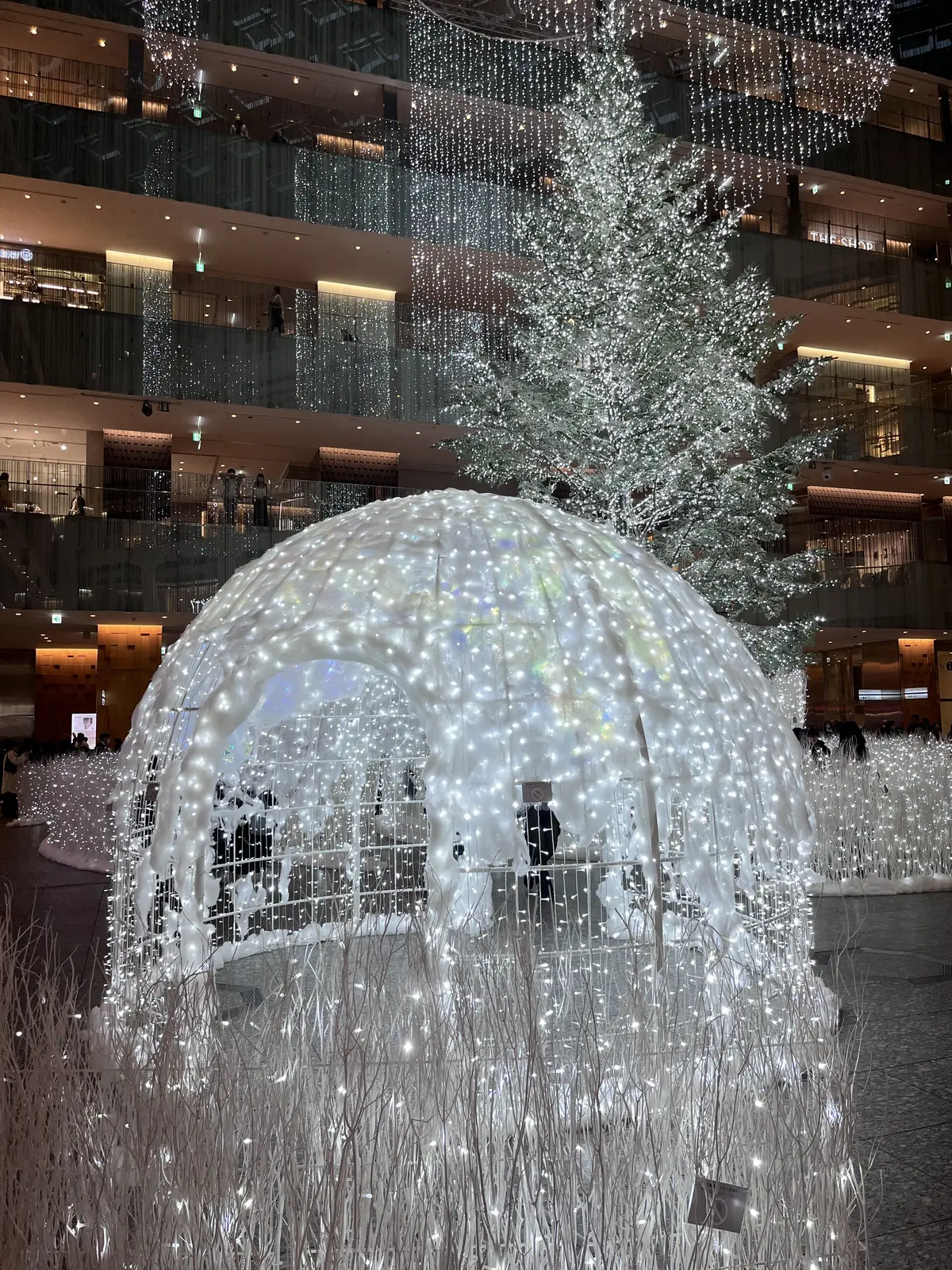 お花好きメンバーでキラキラ観賞♪日比谷〜の画像_18