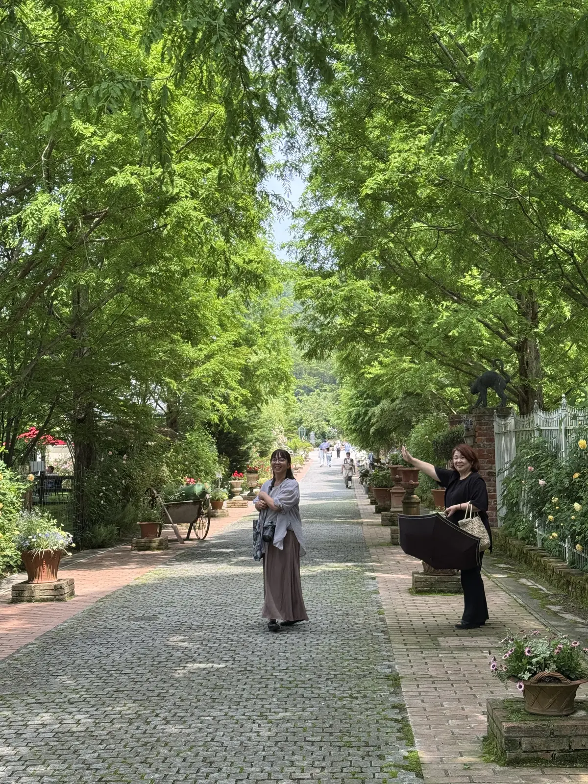 イングリッシュガーデン"風"じゃない！！の画像_2