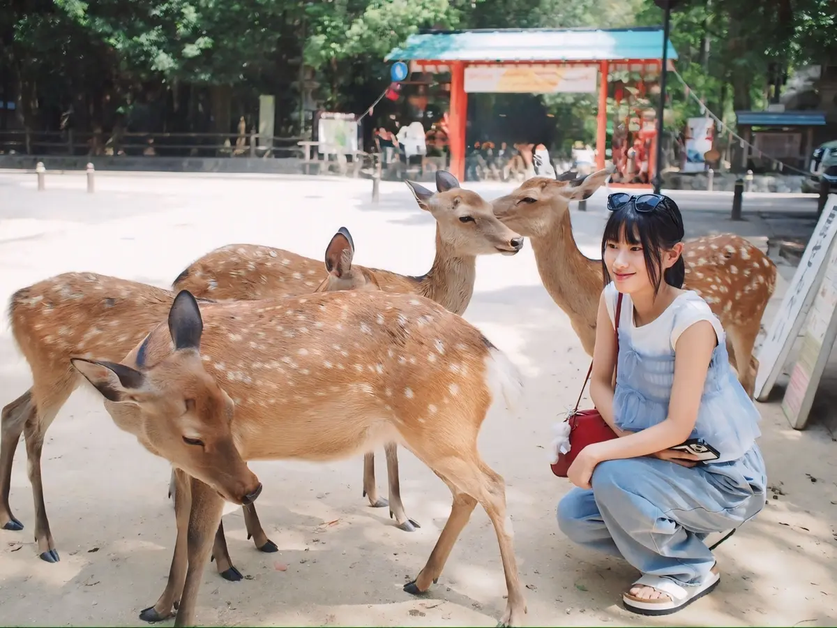 【Aquascutum × éclat の画像_15