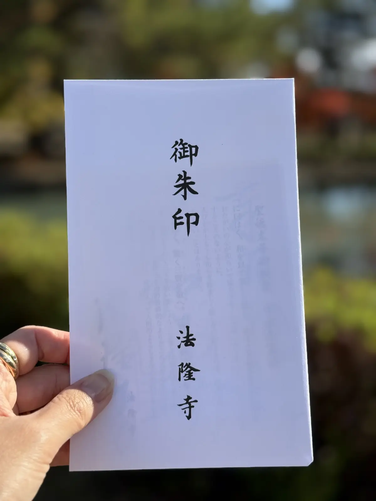 【大人旅 奈良】1300年以上の歴史を持の画像_34