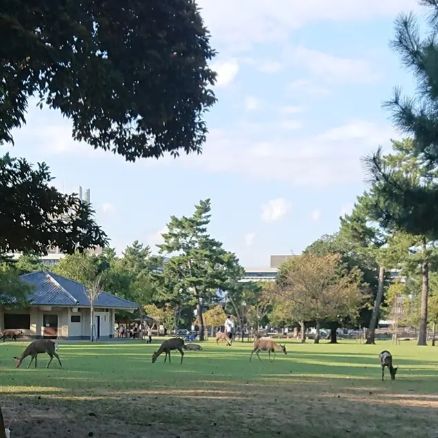 奈良公園