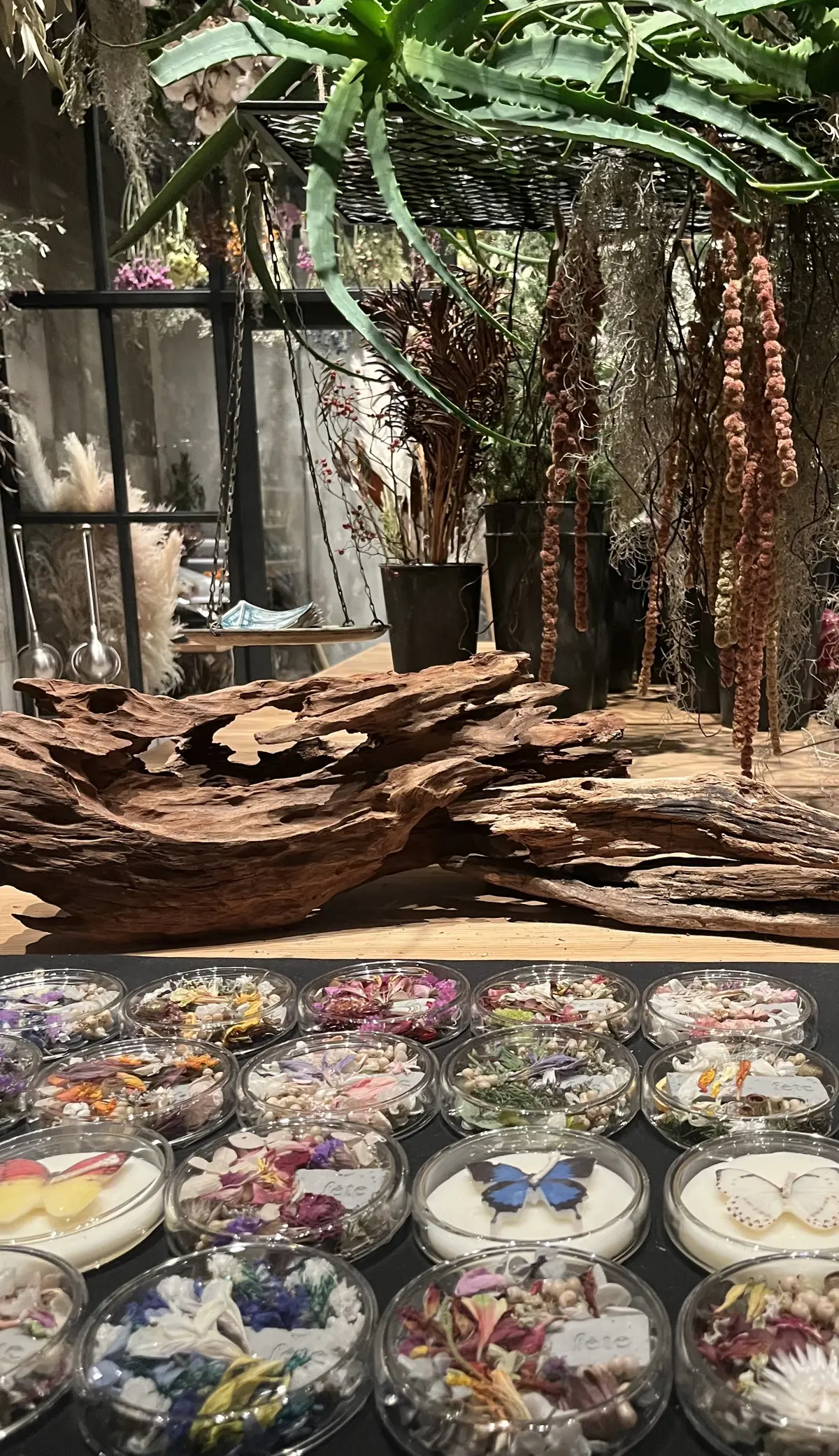 兜町newスポット★タータンチェック4コの画像_7