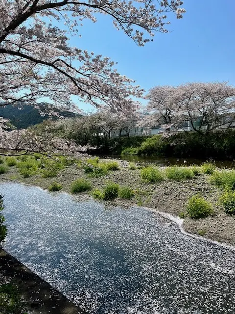 春のお出かけ！IZUへの画像_3