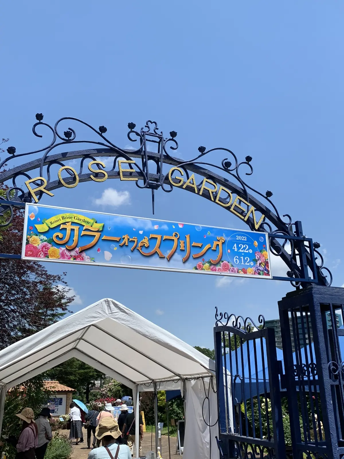 大人の遠足〜薔薇とワインを楽しむ会〜の画像_1