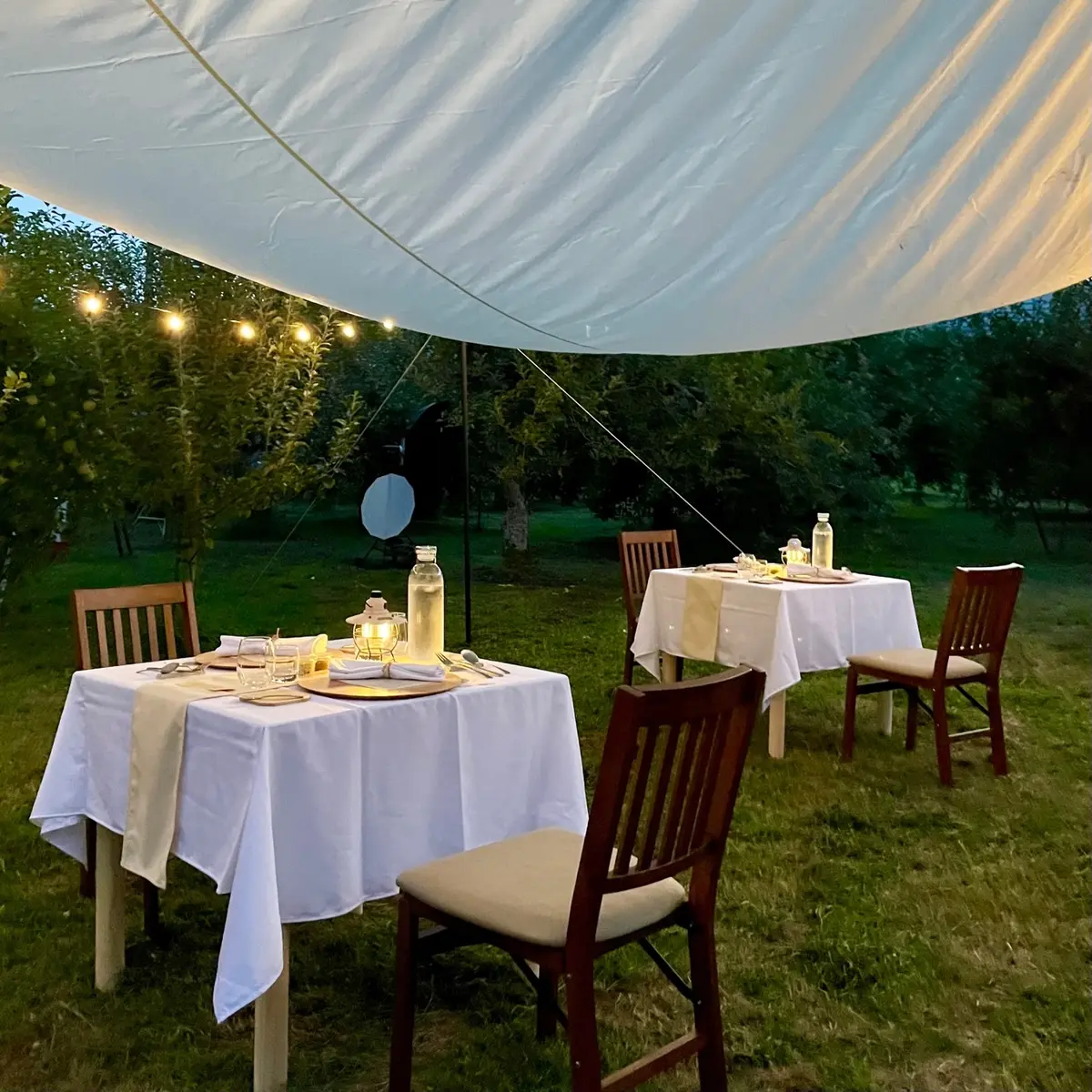 農園レストランテーブルレイアウト