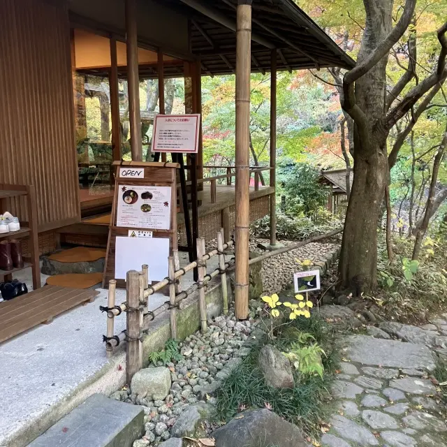 鎌倉穴場の紅葉スポットの画像_9