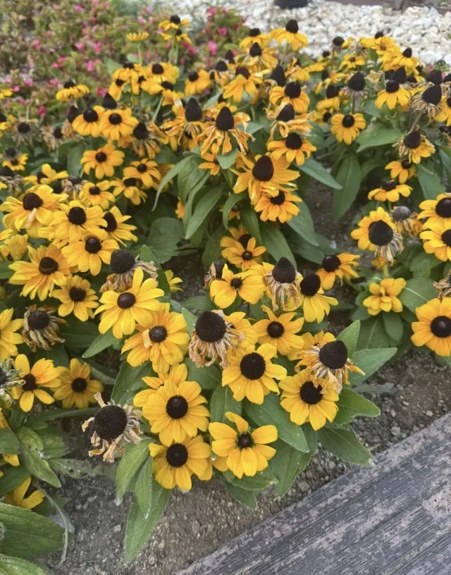 夏は浴衣でじぶんデート！の画像_18