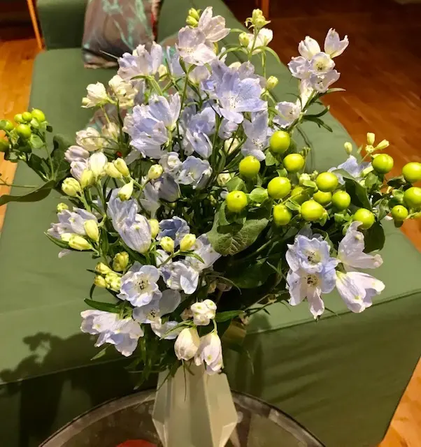 ◯我が家の冬の風景◯の画像_9