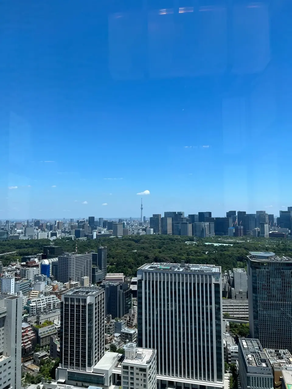 素敵な歳上の女性♡大人の再会レストランの画像_18