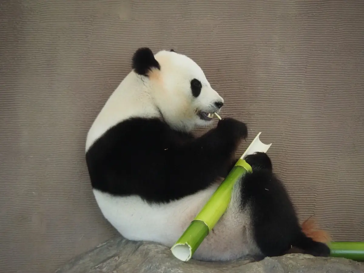 初めての和歌山県!!紀南方面へ2人旅♡～の画像_2