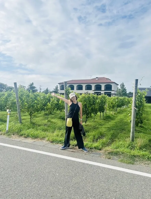 酷暑の夏を乗り切ったアイテム！の画像_2