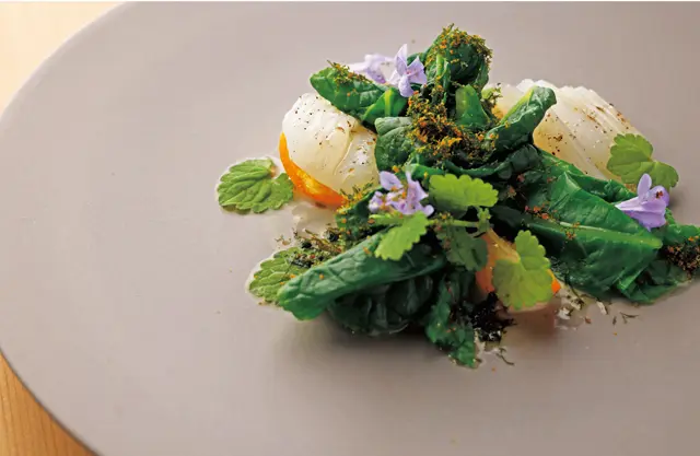 フレッシュ感を残して湯通しした淡路島のイカに白ワインでマリネした金柑、白菜などをフレッシュカモミールのソースで