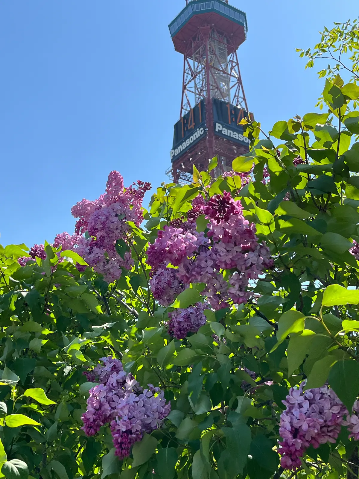 éclat エクラ　Jマダム　トモコ　知子　ブログ　札幌　北海道　上野　絵画　クロードモネ　モネ　monet　国立西洋美術館　西洋美術館　美術館　アート