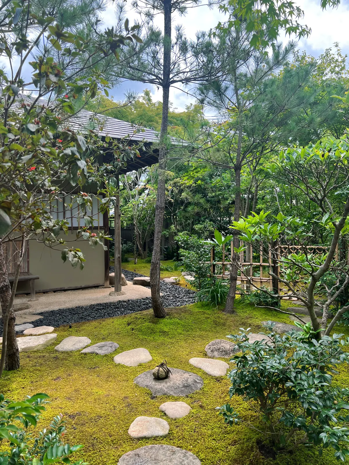 日本茶アフタヌーンティーへ‼︎の画像_3