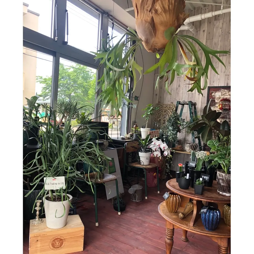 healthy lunchの画像_2