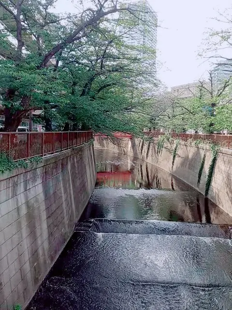 「スターバックス リザーブ ロースタリーの画像_8