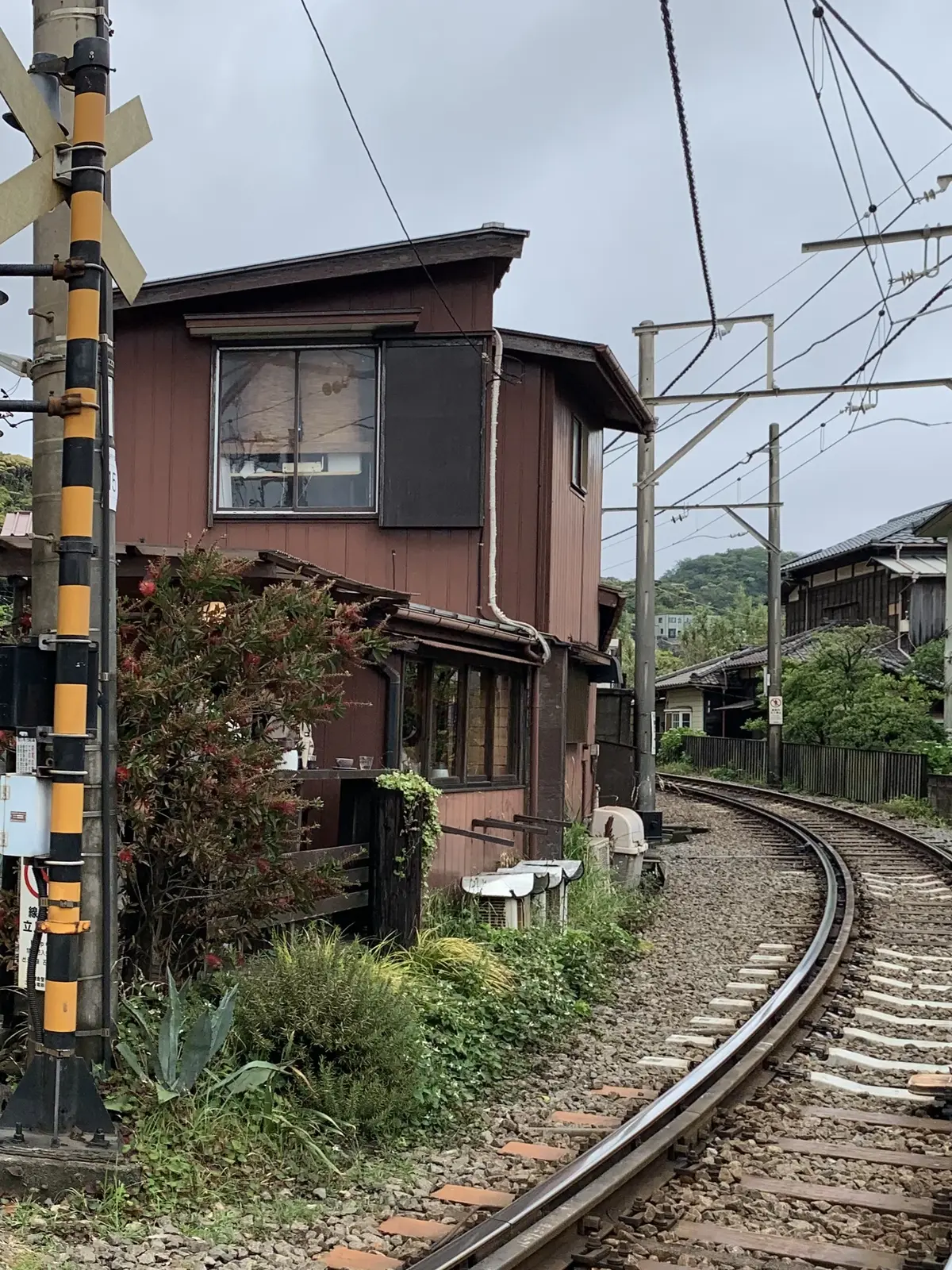 ヨリドコロ　鎌倉　