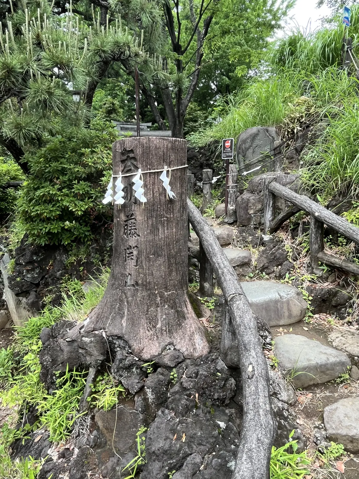 目白から千駄ヶ谷・新宿への画像_9