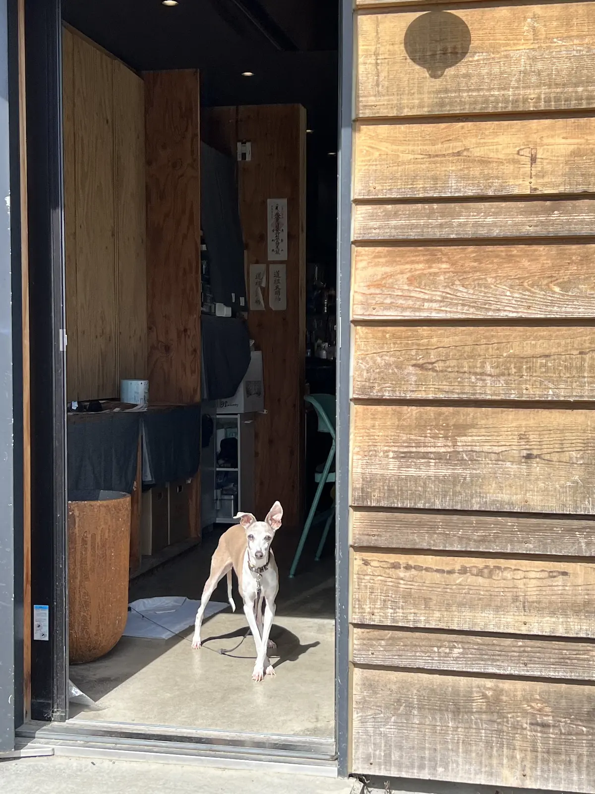 素敵なワインツーリズム体験＠98WINEの画像_1