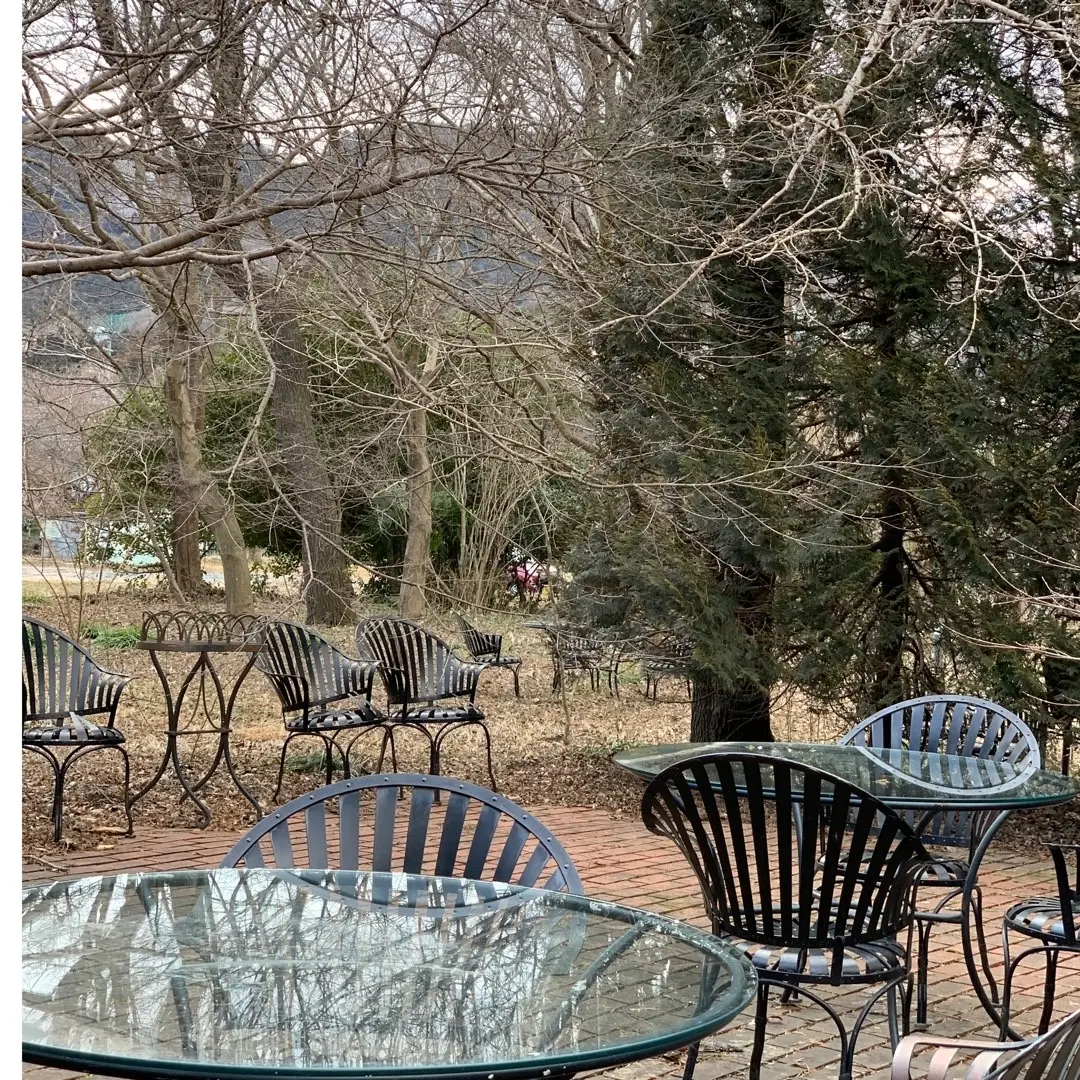 肉食女子lunch partyの画像_1