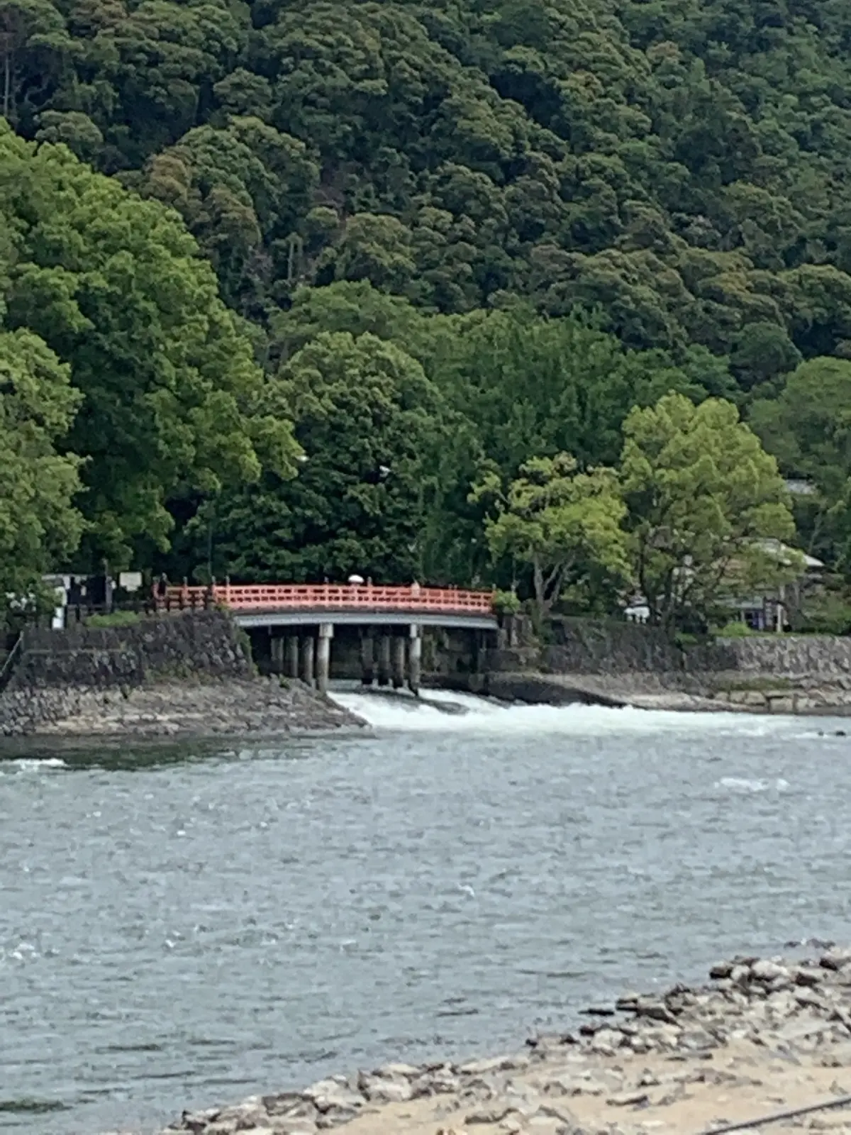 艶やかな紫陽花に癒されて。の画像_3